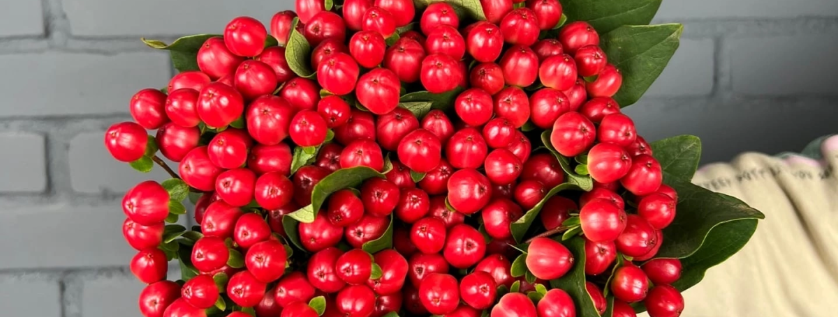 На складе новое поступление! Срезанные цветы